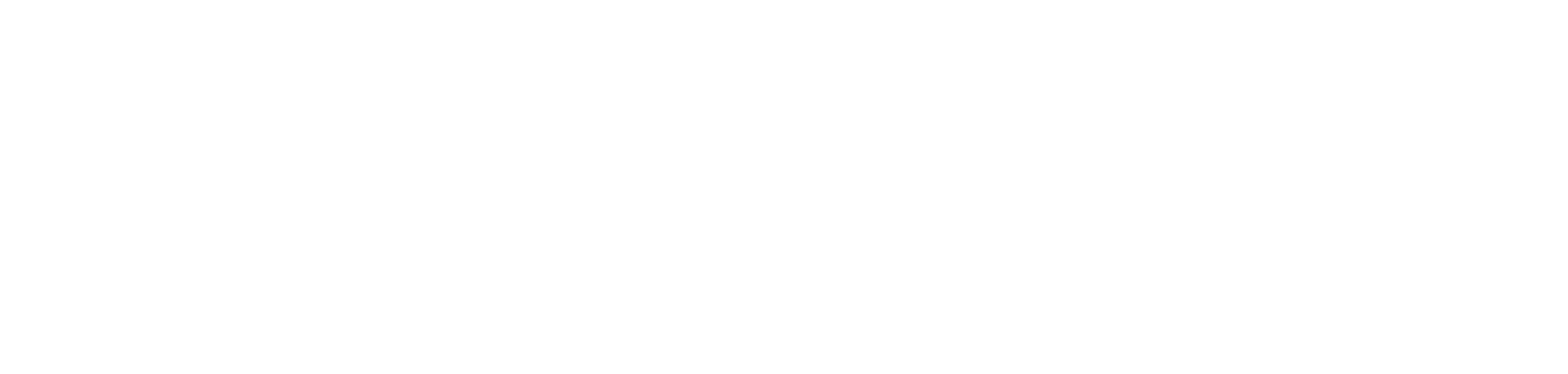 niaz_logo